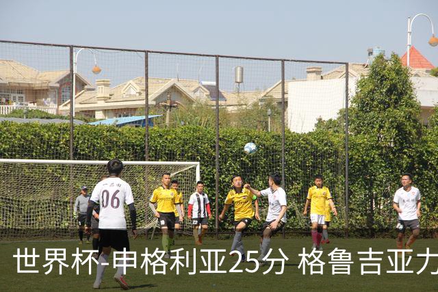 世界杯-申格利亚25分 格鲁吉亚力克委内瑞拉